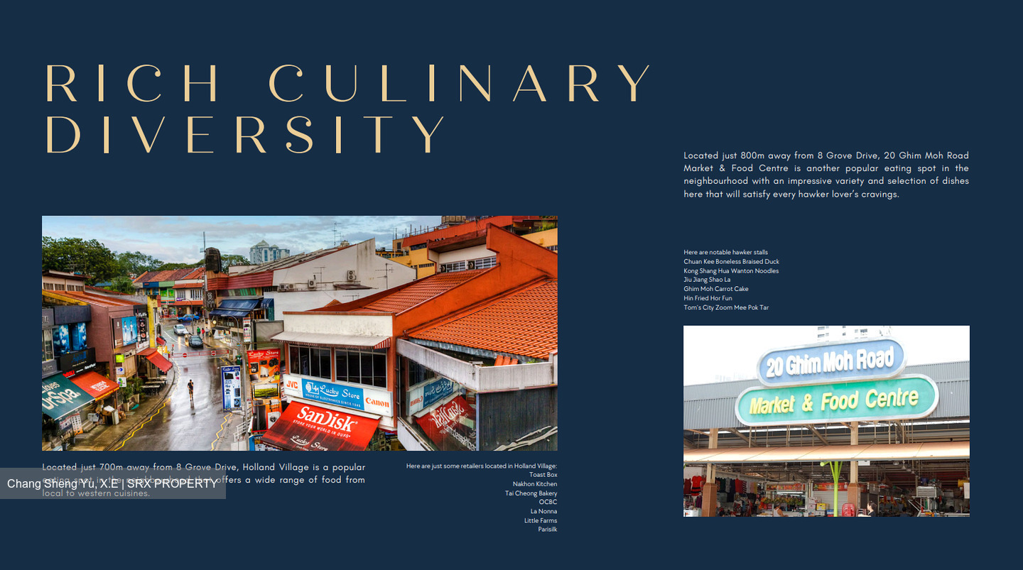 Henry Park (D10), Detached #479712031